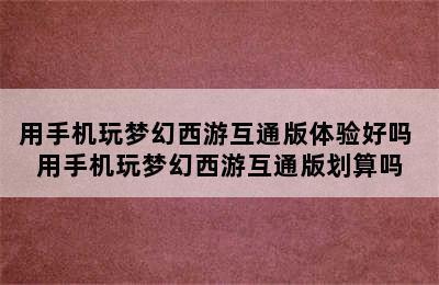 用手机玩梦幻西游互通版体验好吗 用手机玩梦幻西游互通版划算吗